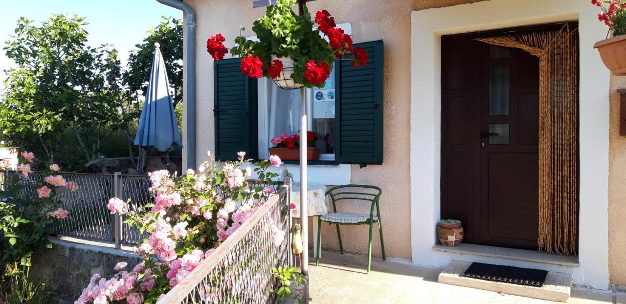Holiday Home Goga Drniš Zewnętrze zdjęcie