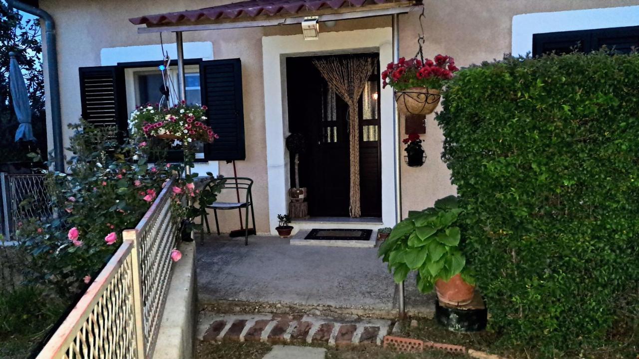 Holiday Home Goga Drniš Zewnętrze zdjęcie
